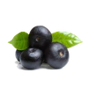 Acai